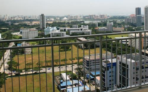Boonkeng_safety grille.JPG